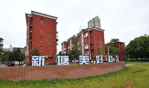 喜讯 湘潭市住建局荣获 全国住房和城乡建设系统先进集体 称号