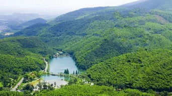 6月7 9日端午假期南京国立美术馆旧址 总统府 梅园新村 莫干山徒步 宜兴竹海 大纵湖3日游招募