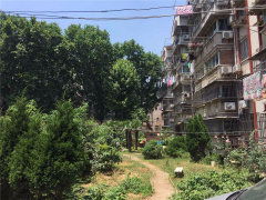 化纤新村图片相册,南京化纤新村实景图 室外图 小区配套图
