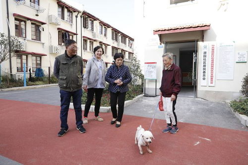 上海翻新新中国第一座工人新村 七里新村的崭新篇章