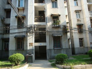 钢花新村112街坊小区综合解析 二手房市场与区域实况