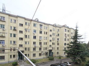 颛桥金塔新村精品两房 诚心出租，拎包入住的理想之选