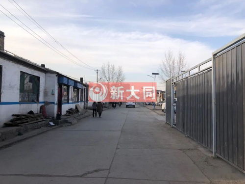 七里村的蝶变 教育兴村与安居梦想的交响