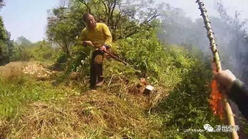 清明山火频发 福建多地祭扫引发火灾敲响安全警钟